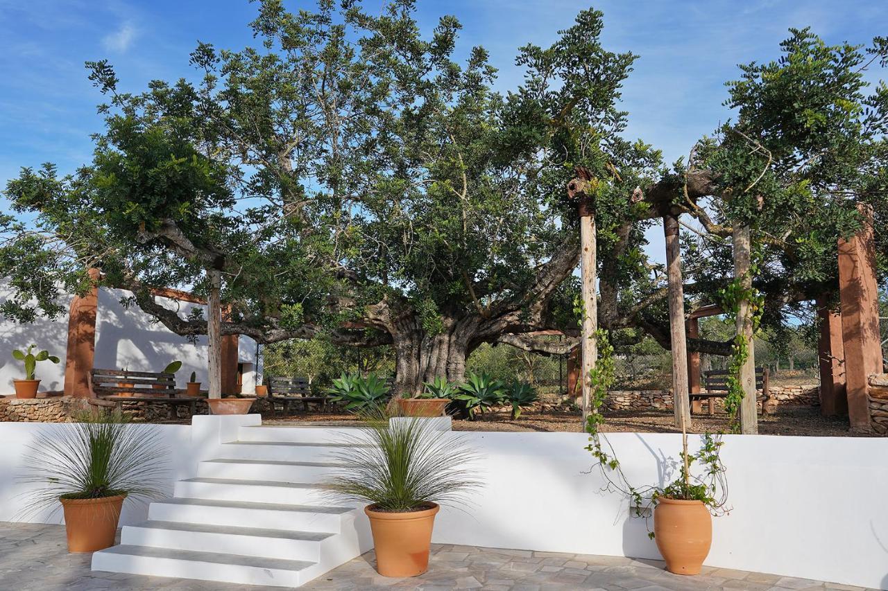 Villa Can Vicent San Antonio  Kültér fotó
